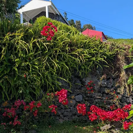 Casas Do Horizonte * Ribeiras